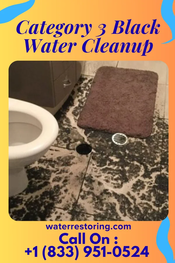Category 3 Black Water Cleanup in Island, KY