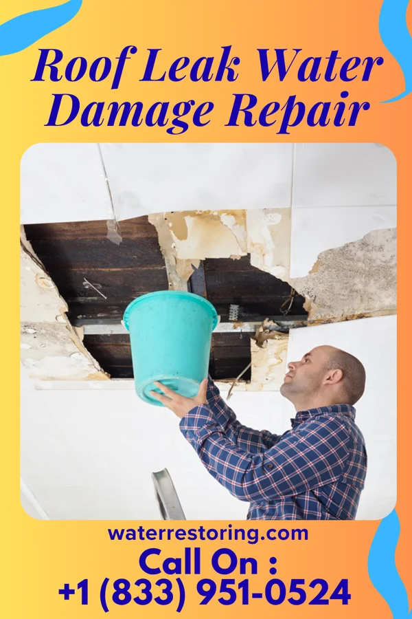 Roof Leak Water Damage Repair in Island, KY