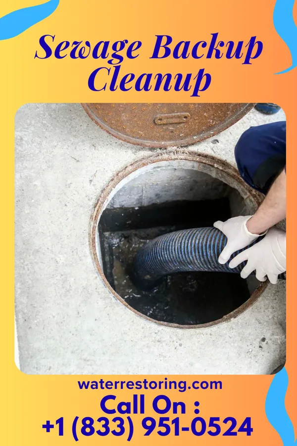 Sewage Backup Cleanup in Island, KY